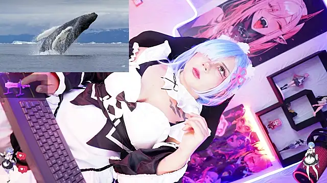 Snapshot of Noha-- chatting on 11-17-25, 12:55 Noha-- online show from 11-17-25, 12:55