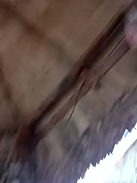 prototipoA45 online show from 01-13-26, 10:26