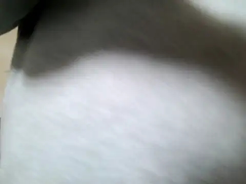 Snapshot of Olifesse chatting on 05-16-26, 08:22 Olifesse online show from 05-16-26, 08:22