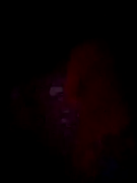 jacka 305 online show from 11-22-25, 10:36