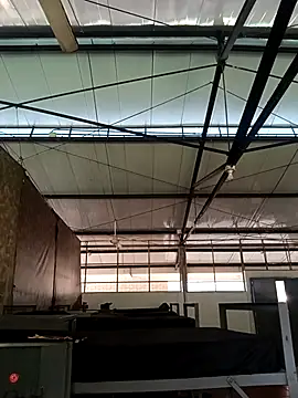 MonasticCanine online show from 11-26-25, 11:33