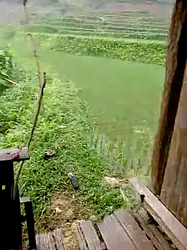 Cloud-wh online show from 04-08-26, 12:10