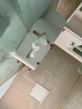 Snapshot of oo-shanshan chatting on 12-17-25, 01:00 oo-shanshan online show from 12-17-25, 01:00