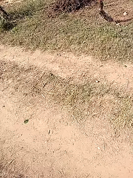 Snapshot of Neetujk chatting on 11-17-25, 05:02 Neetujk online show from 11-17-25, 05:02