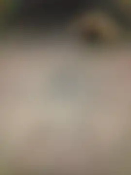 Snapshot of piggylatino chatting on 02-02-26, 06:01 piggylatino online show from 02-02-26, 06:01