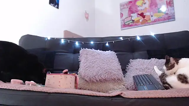 Snapshot of valery_carter01 chatting on 02-17-26, 06:36 valery carter01 online show from 02-17-26, 06:36