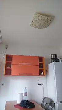 Dale E online show from 01-28-25, 08:36