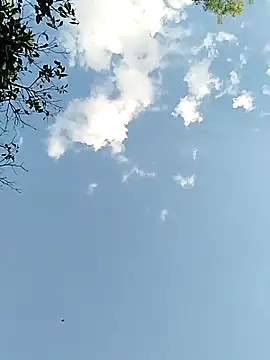 Snapshot of joselo2217 chatting on 11-25-25, 09:15 joselo2217 online show from 11-25-25, 09:15