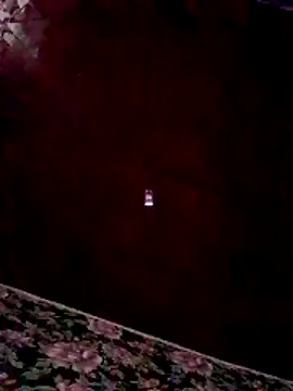 RomiTreats online show from 11-26-25, 11:33