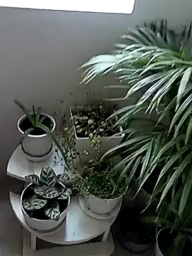 Snapshot of Rouse_hot_ chatting on 01-10-26, 06:09 Rouse hot online show from 01-10-26, 06:09