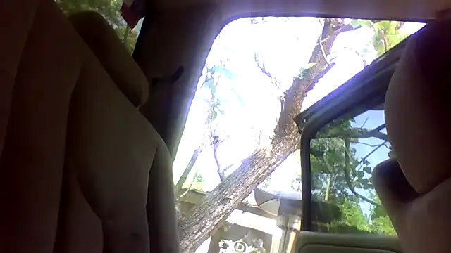 dickencidr online show from 04-15-26, 06:48