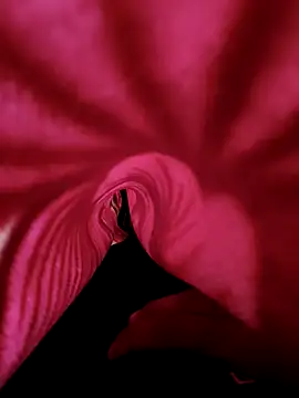 Snapshot of DesiAnita3693 chatting on 11-21-25, 03:38 DesiAnita3693 online show from 11-21-25, 03:38