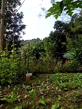 Rose-rose1234 online show from 11-21-25, 08:02