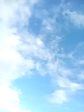 juunioreest online show from 01-10-26, 10:47