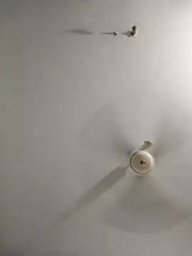 rupamim online show from 03-26-26, 09:09