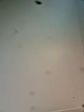 Hardwarelane67 online show from 03-23-26, 12:09