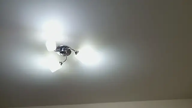 Foxy-lady online show from 12-22-25, 07:00