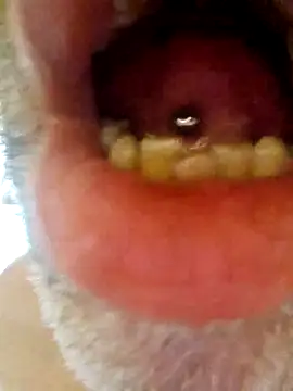 CDY74 online show from 11-28-25, 02:42