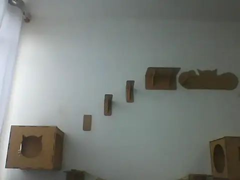 Temp7 online show from 03-08-26, 11:36