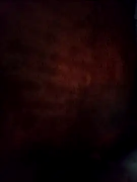 Snapshot of Jelly-squirt chatting on 05-02-26, 10:48 Jelly-squirt online show from 05-02-26, 10:48