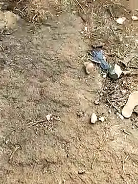 Meow buggie online show from 01-13-26, 10:42