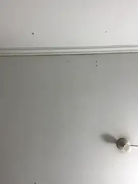 Snapshot of Rosa_Vidal_ chatting on 11-29-25, 06:55 Rosa Vidal online show from 11-29-25, 06:55