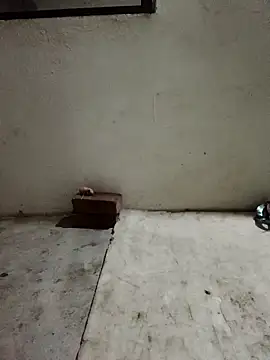 Sunenabhabh online show from 04-05-26, 10:18