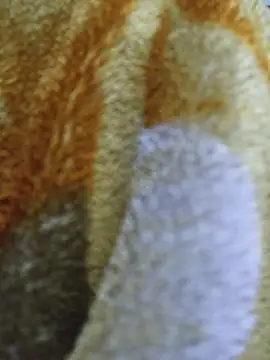 luckyutube online show from 12-21-25, 03:30