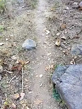 desi alpha boy online show from 01-16-26, 01:42