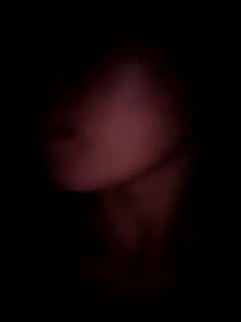 meganmeo online show from 11-24-25, 01:55