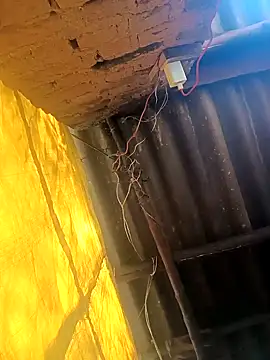 Babita Gori online show from 12-19-25, 05:58