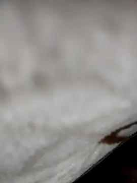 Snapshot of jiniya6789 chatting on 01-05-26, 06:11 jiniya6789 online show from 01-05-26, 06:11