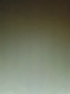 ArgentinaShani online show from 02-11-26, 03:00