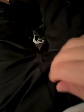 Laufla online show from 12-03-25, 10:52