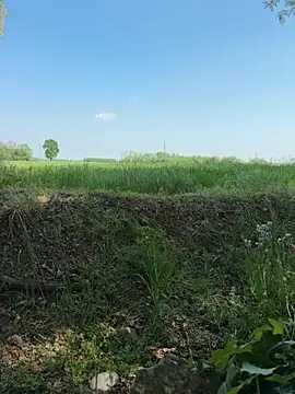 marconordic online show from 04-18-26, 01:26