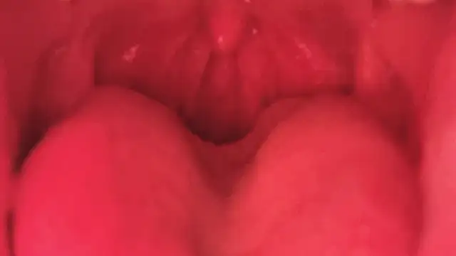 LT-333 online show from 01-11-26, 03:50