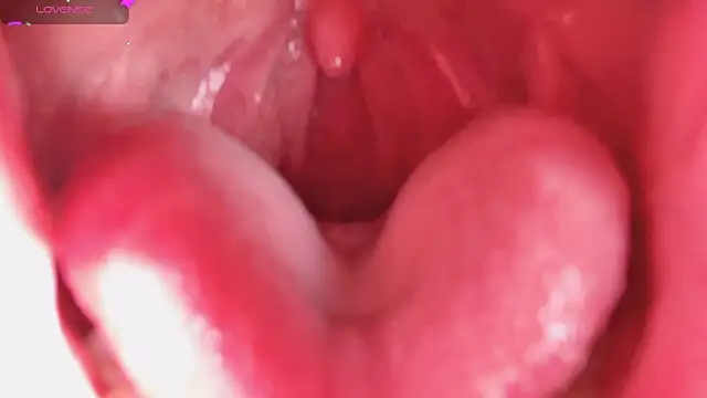 LT-333 online show from 02-05-26, 08:24