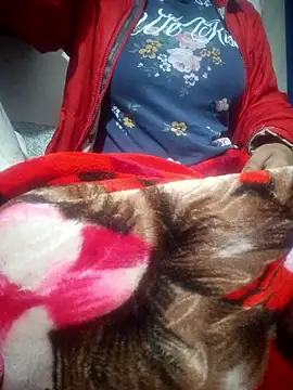 Snapshot of SassyDiy chatting on 01-13-26, 11:59 SassyDiy online show from 01-13-26, 11:59