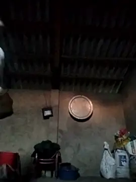 LeoPet2x online show from 12-15-25, 09:46