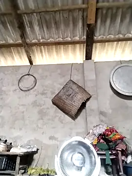 Snapshot of LeoPet2x chatting on 03-16-26, 05:44 LeoPet2x online show from 03-16-26, 05:44