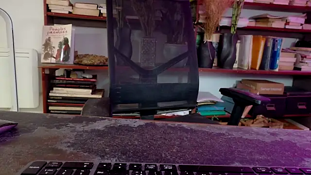 diogene11 online show from 11-29-25, 08:50