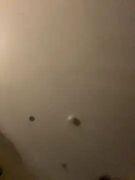 Gabriellabella13 online show from 12-05-25, 03:20