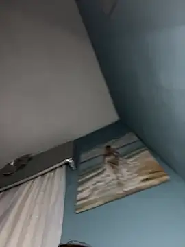 Kittycqtx online show from 03-23-26, 09:08