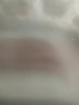 Snapshot of kral4531 chatting on 12-01-25, 03:50 kral4531 online show from 12-01-25, 03:50