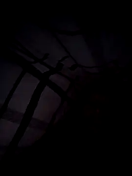 scotbhoyscott online show from 03-10-26, 04:17