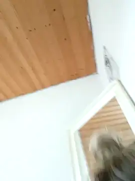 Milas Dreams OF online show from 12-15-25, 08:40