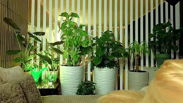 FlowweerGirl online show from 12-15-25, 09:41