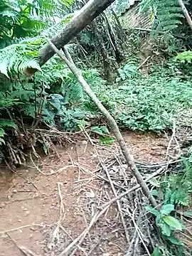 ava-dellght online show from 01-17-26, 02:38