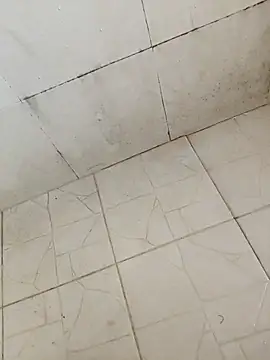 BoyMuslimTelugu online show from 12-17-25, 05:24