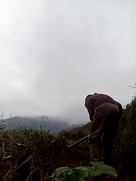 mon-monk online show from 12-17-25, 01:11